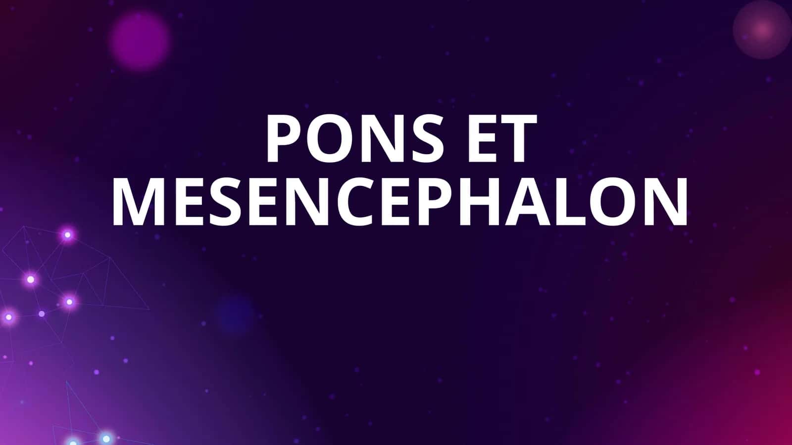 PONS ET MESENCEPHALON 1