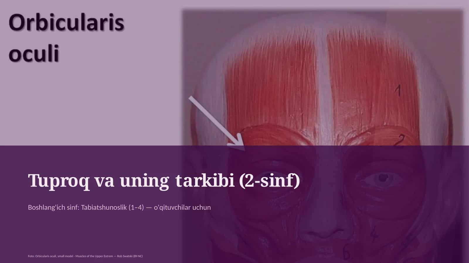 Tuproq va uning tarkibi (2-sinf) 1