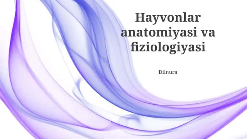 Hayvonlar anatomiyasi va fiziologiyasi 1