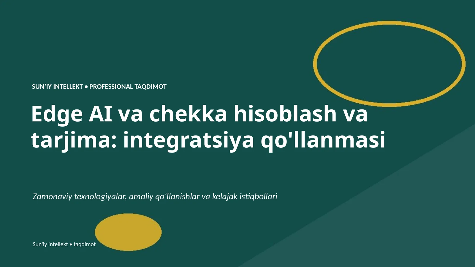 PROFESSIONAL TAQDIMOT 1