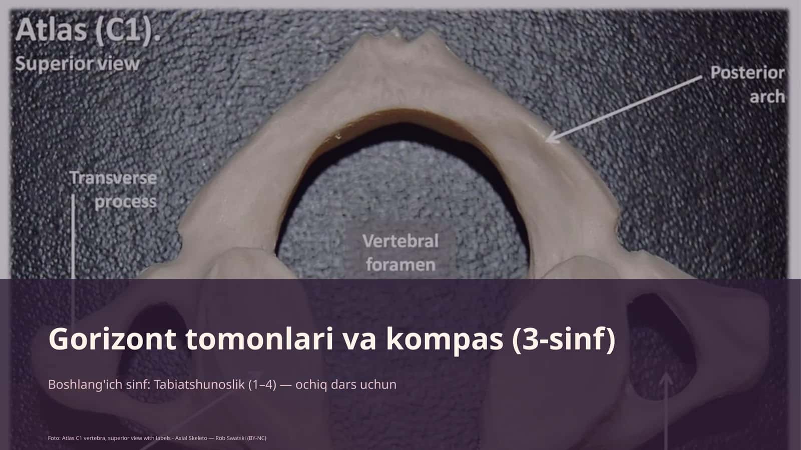 Gorizont tomonlari va kompas (3-sinf) 1