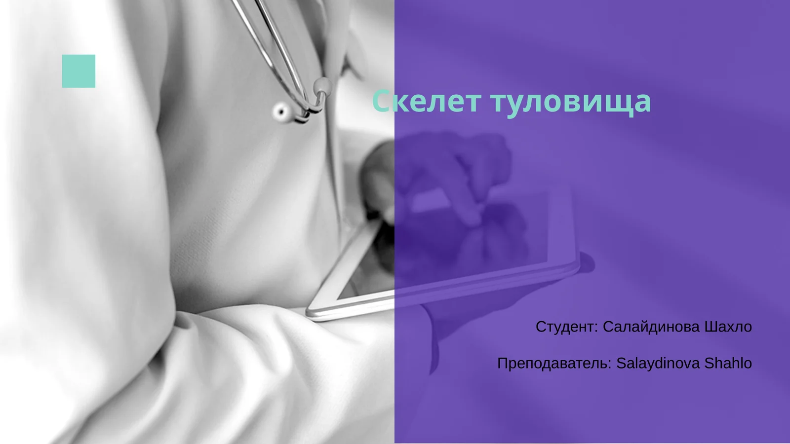 Скелет туловища 1