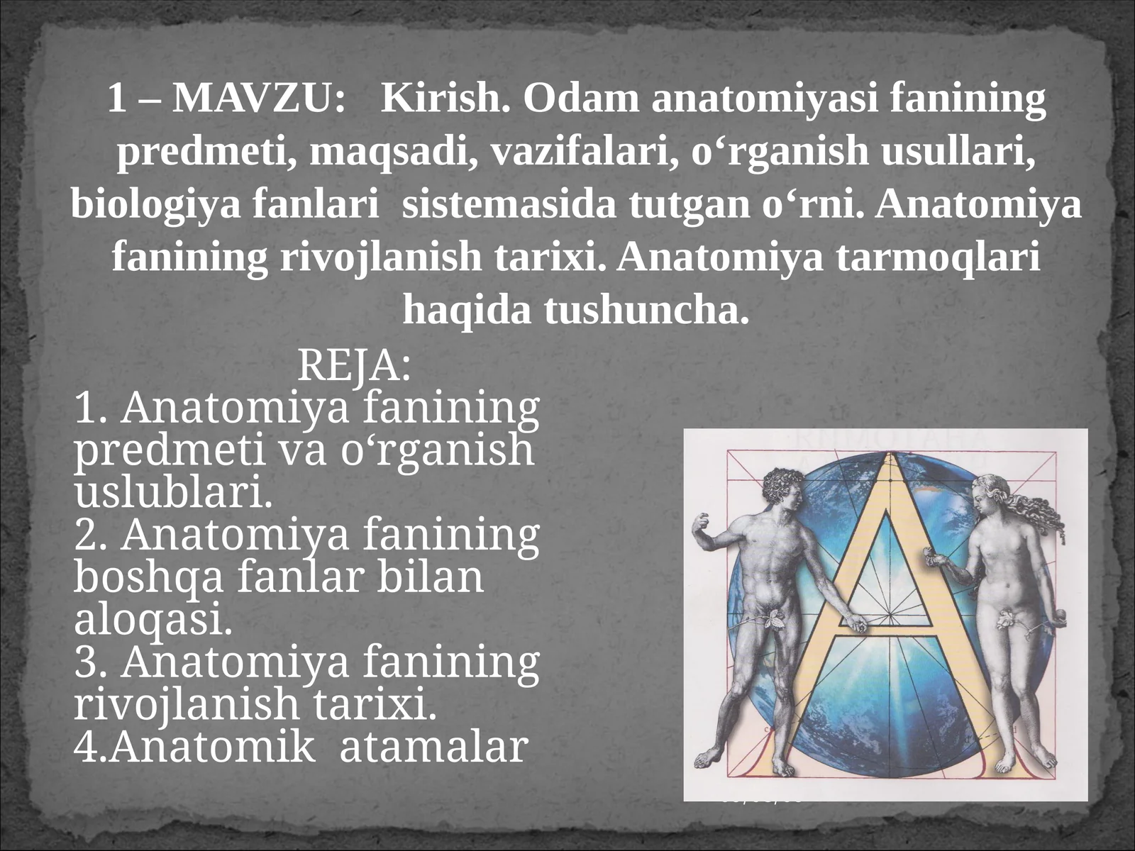Odam anatomiyasi 1