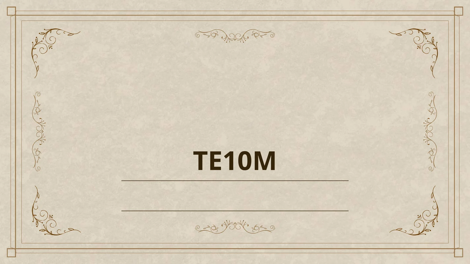 TE10M 1
