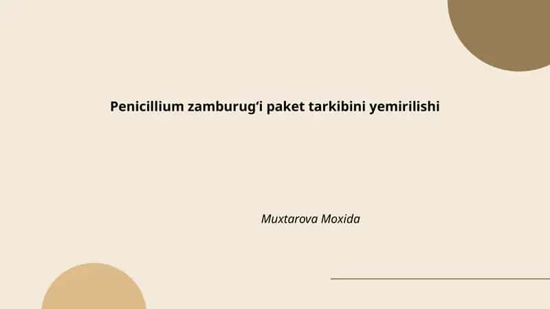 Penicillium zamburugʻi paket tarkibini yemirilishi 1