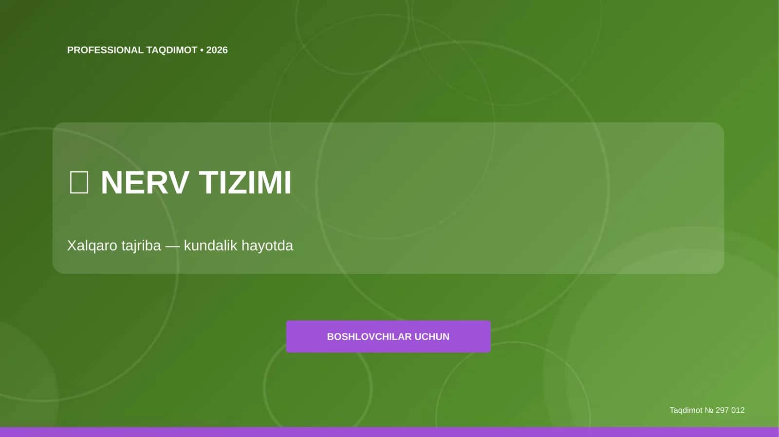 PROFESSIONAL TAQDIMOT • 2026 4