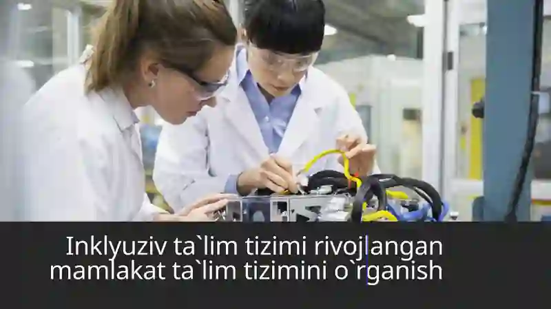 Inklyuziv ta`lim tizimi rivojlangan mamlakat ta`lim tizimini o`rganish