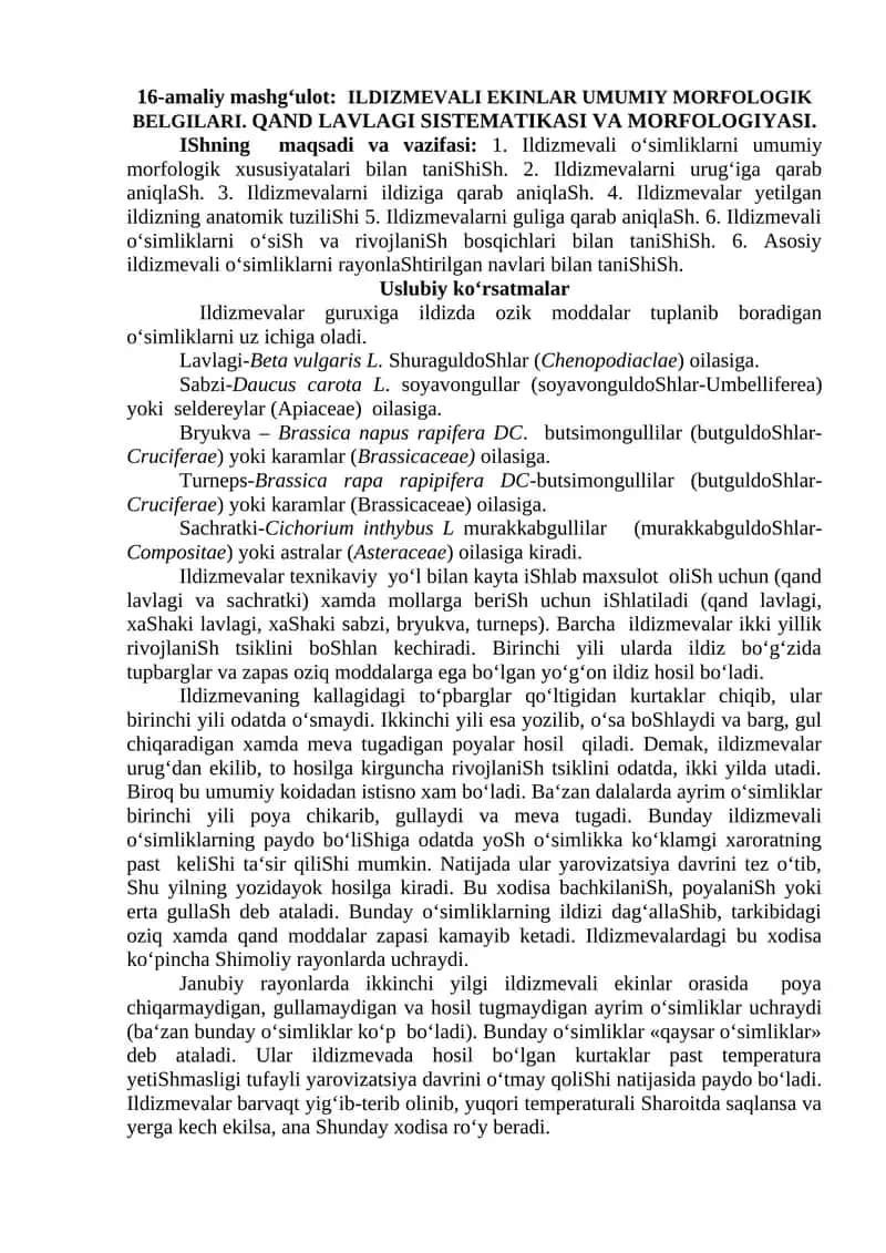 Ildizmevali ekinlar umumiy morfologik belgilari 1