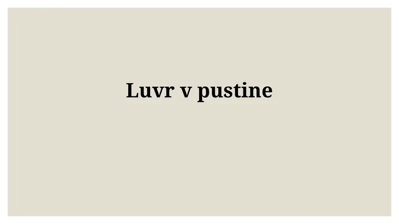 Лувр vpustine 1