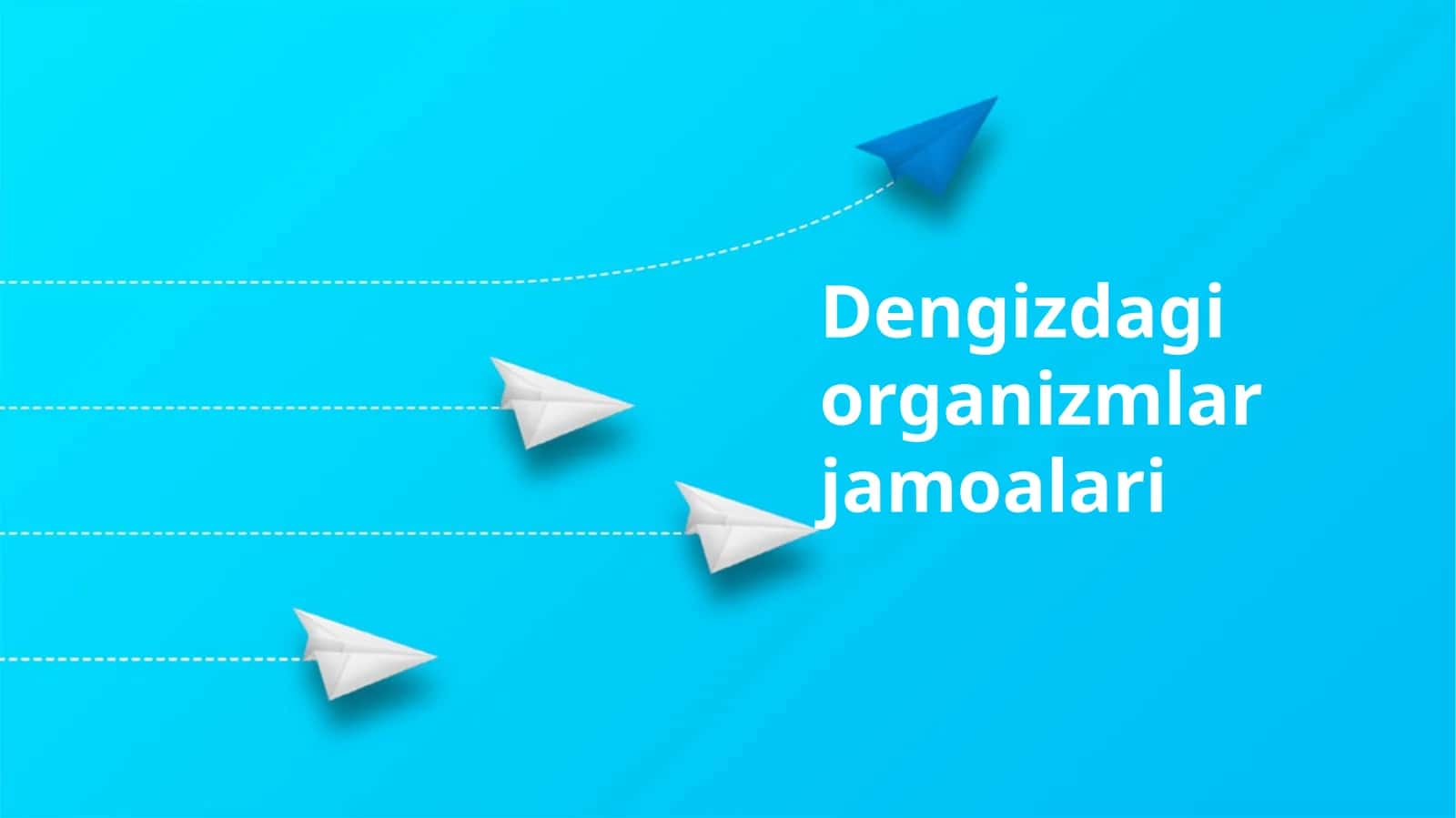 Dengizdagi organizmlar jamoalari 1