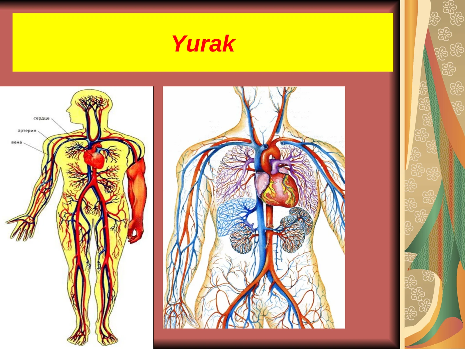 Yurak 1