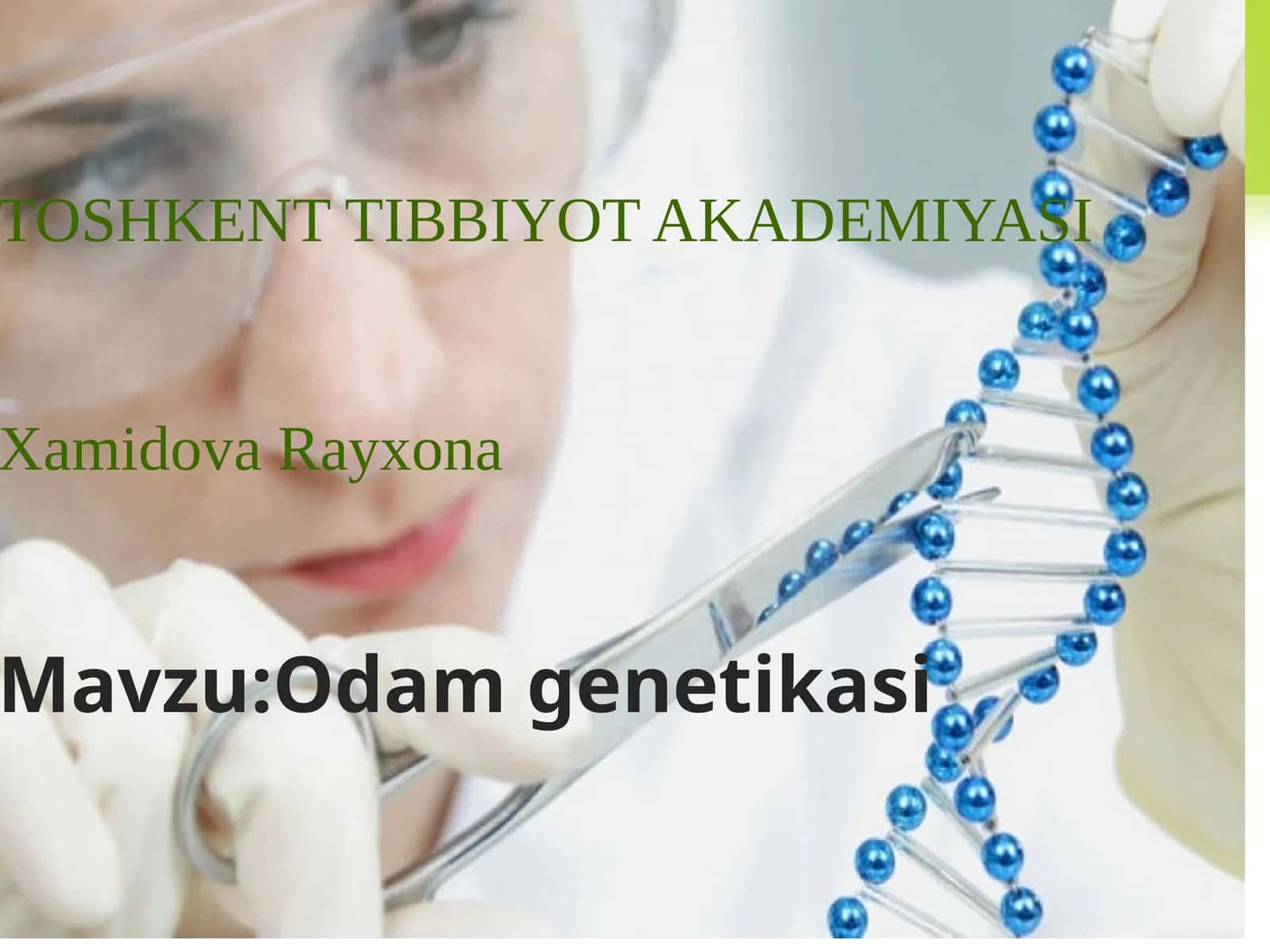 Xamidova Rayxona 1