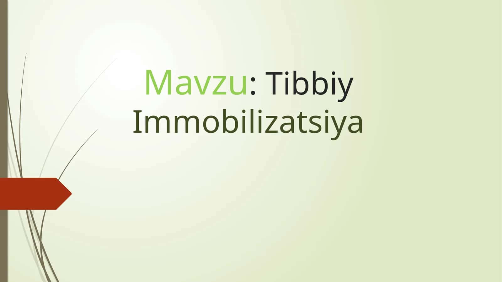 TibbiyImmobilizatsiya 1