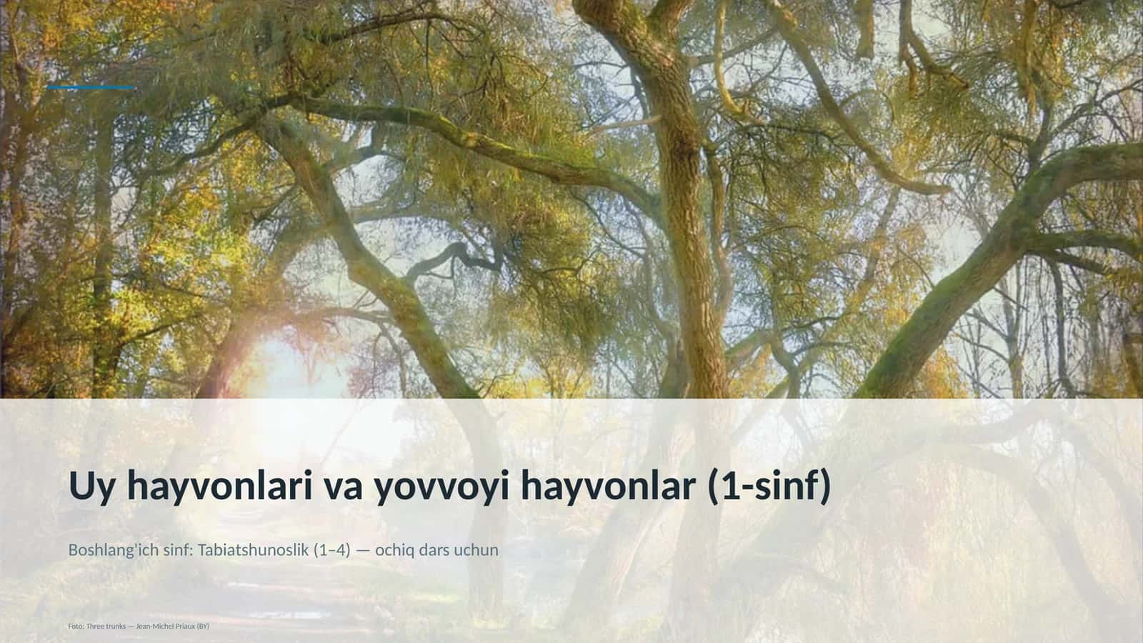 Uy hayvonlari va yovvoyi hayvonlar (1-sinf) Boshlang'ich sinf: Tabiatshunoslik (1– 4) — ochiq dars uchun 1