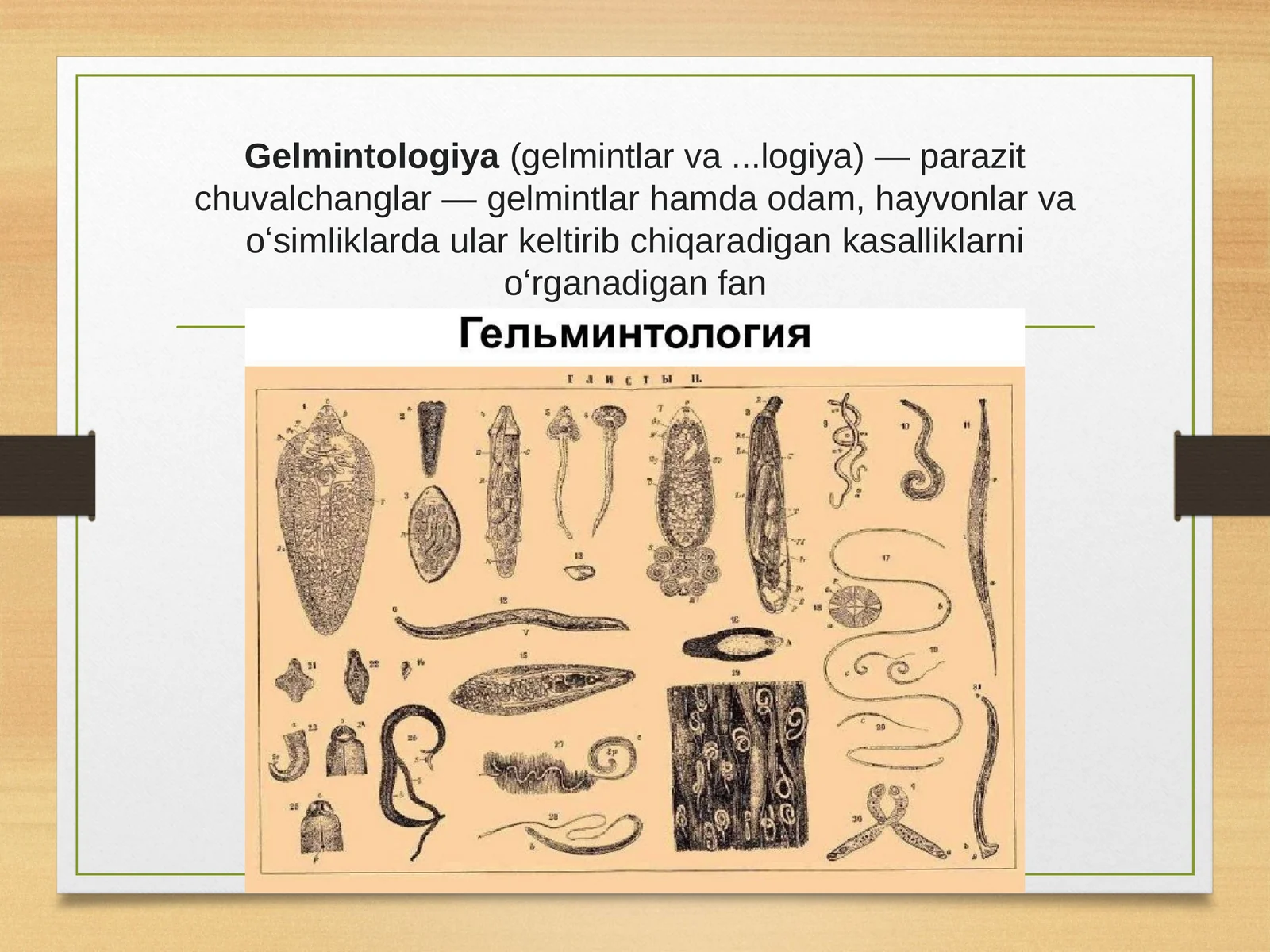 Gelmintologiya 1