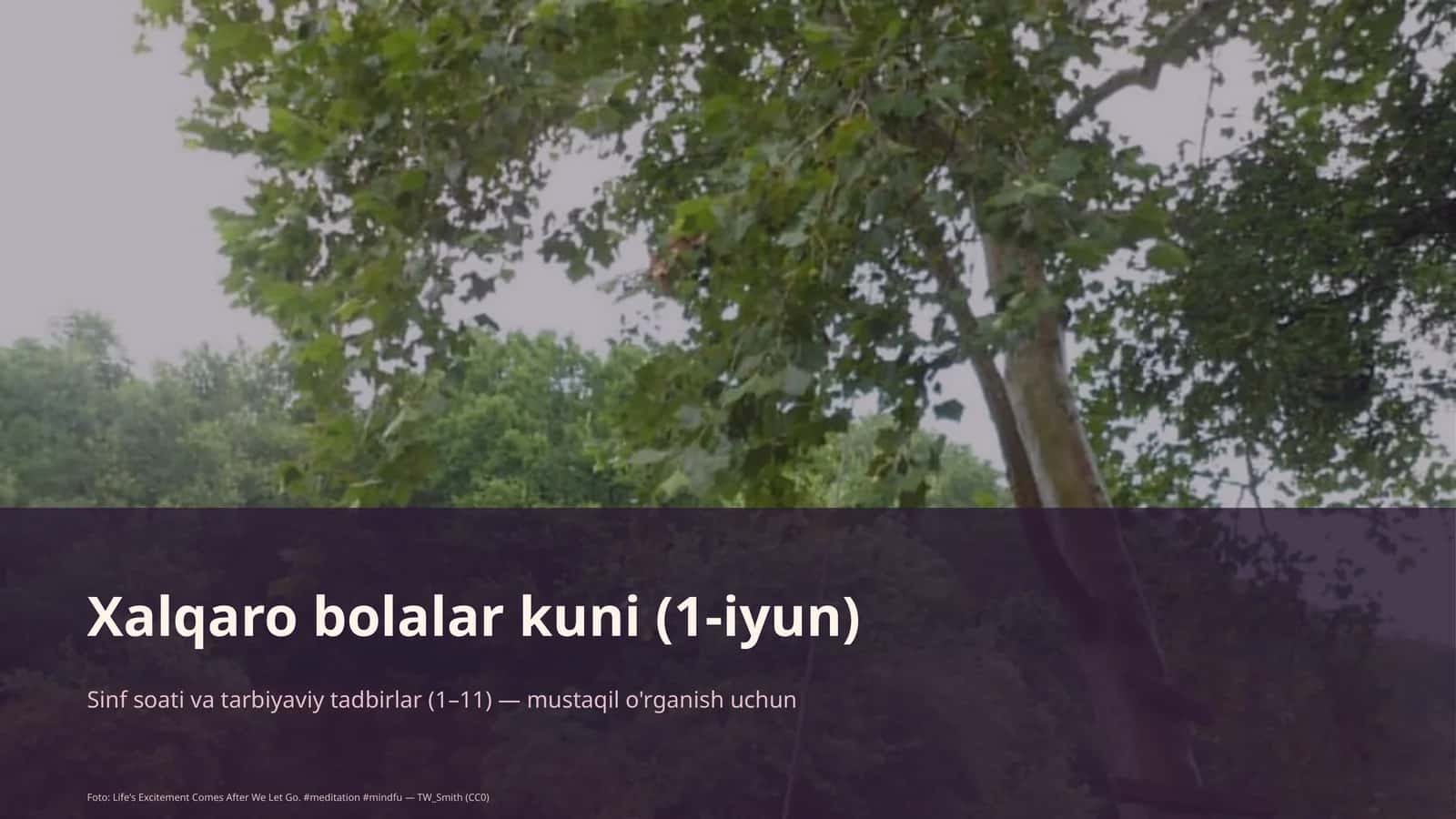 Sinf soati va tarbiyaviy tadbirlar 1