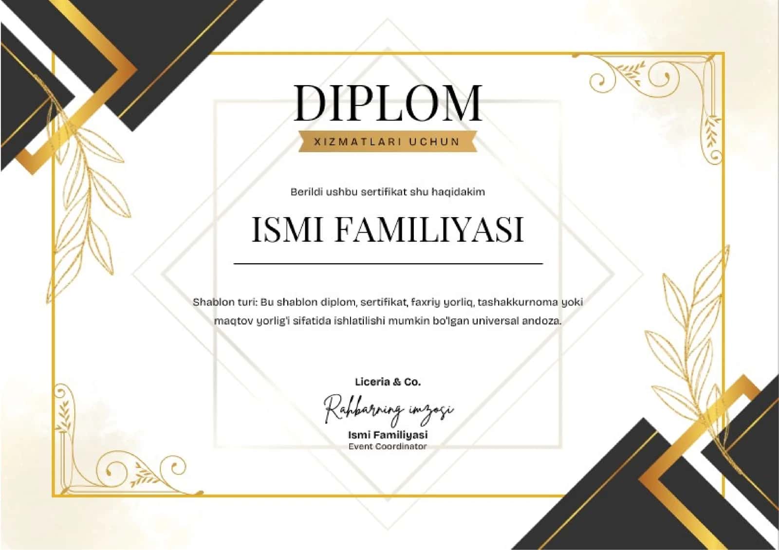 DIPLOM 1