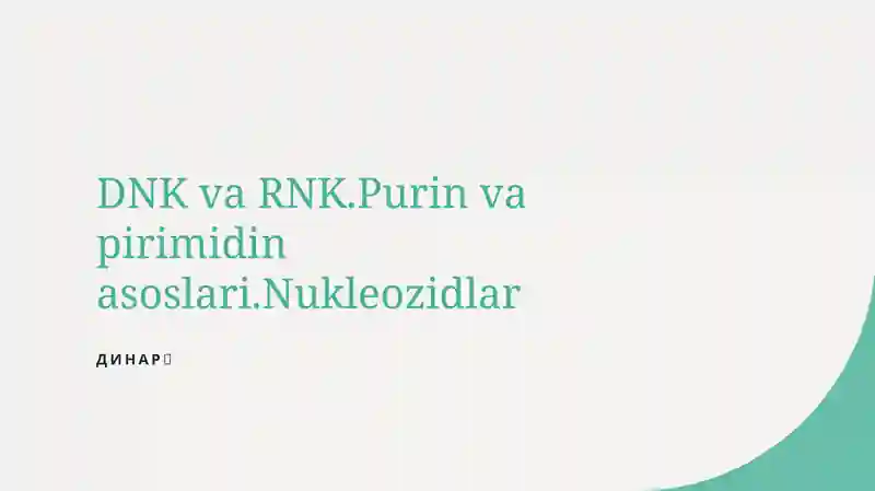 DNK va RNK