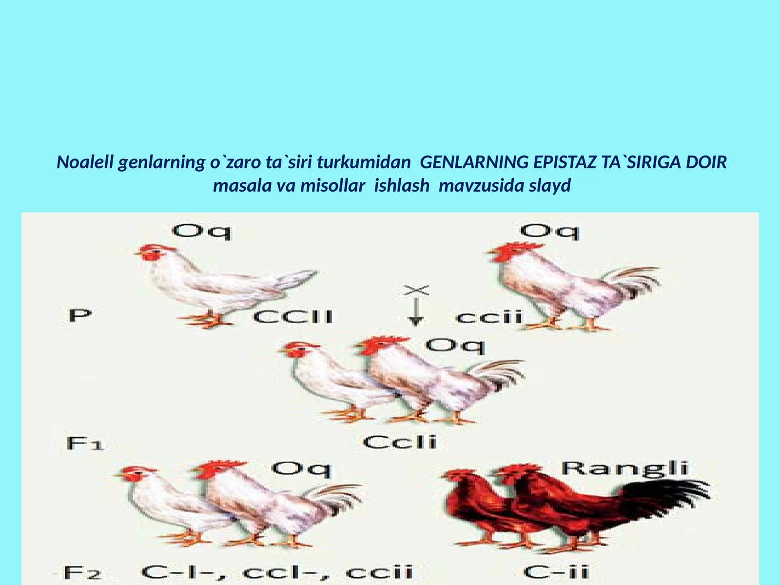 Epistaz 1