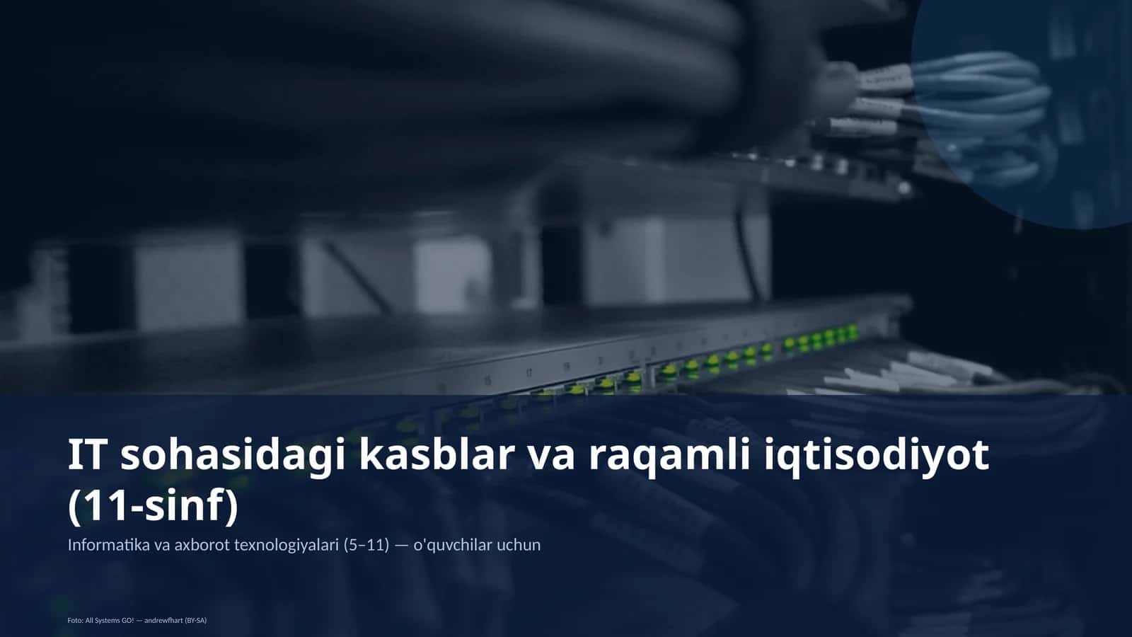 IT sohasidagi kasblar va raqamli iqtisodiyot (11-sinf) 1