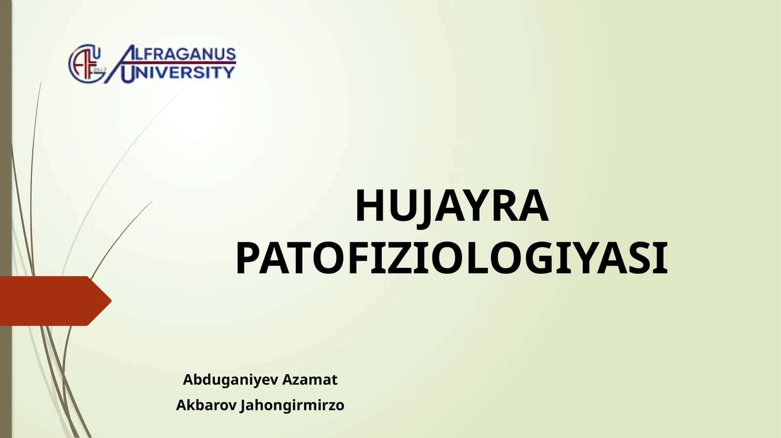 HUJAYRA PATOFIZIOLOGIYASI 1