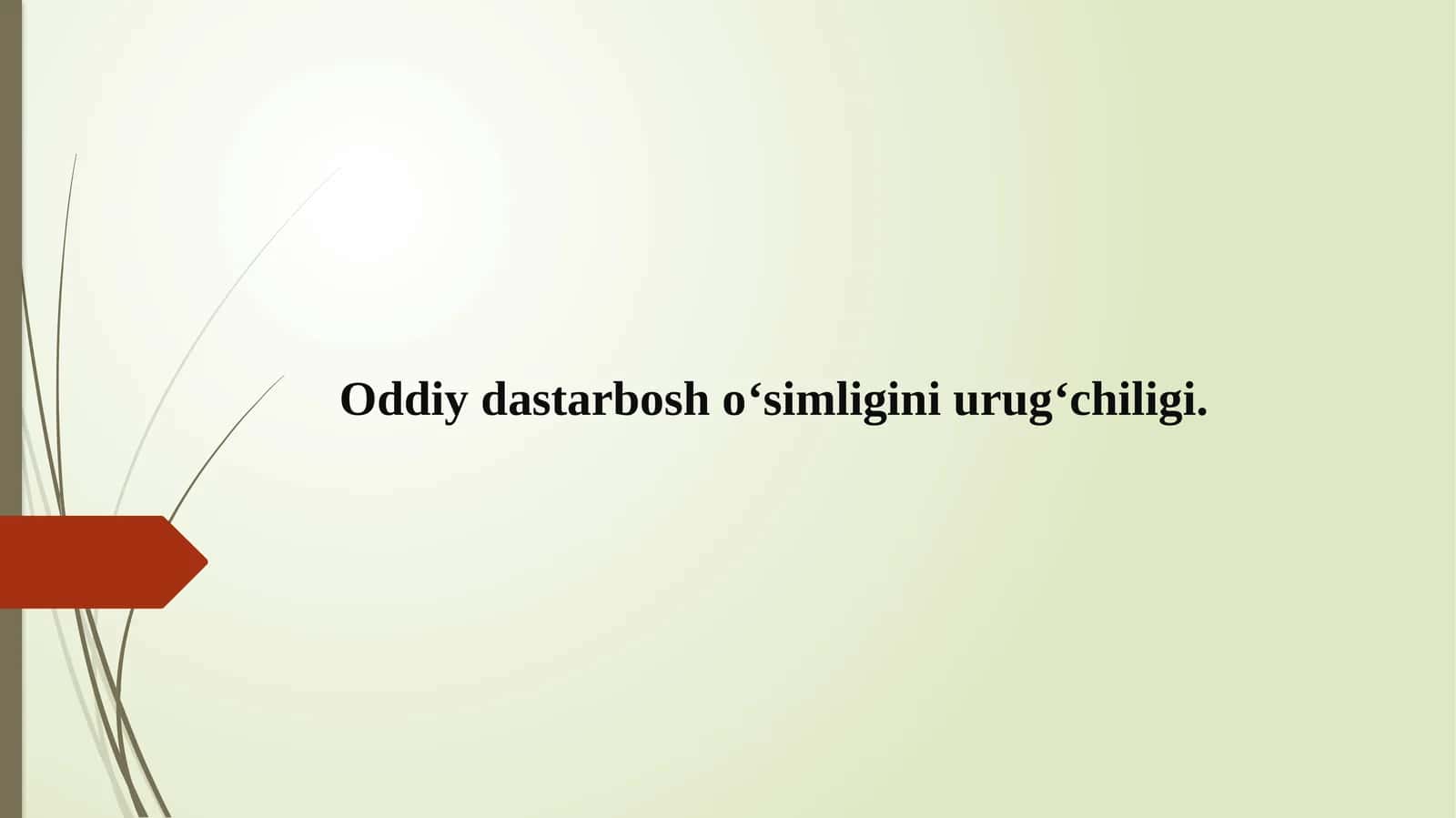 Oddiy dastarbosh o‘simligi 1