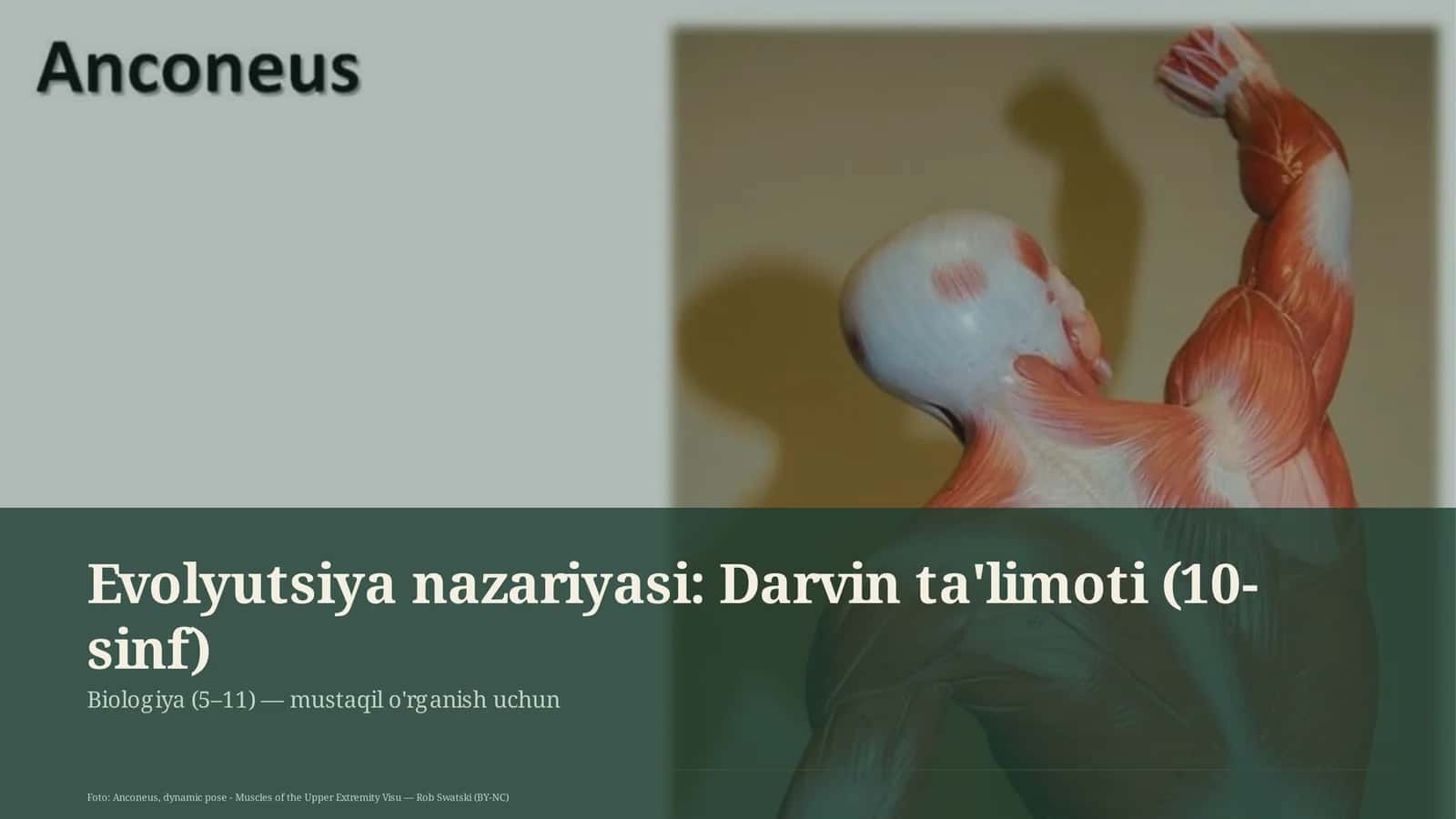 Evolyutsiya nazariyasi: Darvin ta'limoti (10-sinf) 1