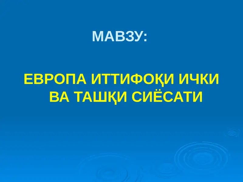 ЕВРОПА ИТТИФОҚИ ИЧКИ ВА ТАШҚИ СИЁСАТИ 1