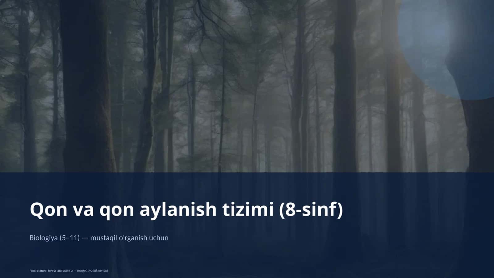 Qon va qon aylanish tizimi (8-sinf) 1