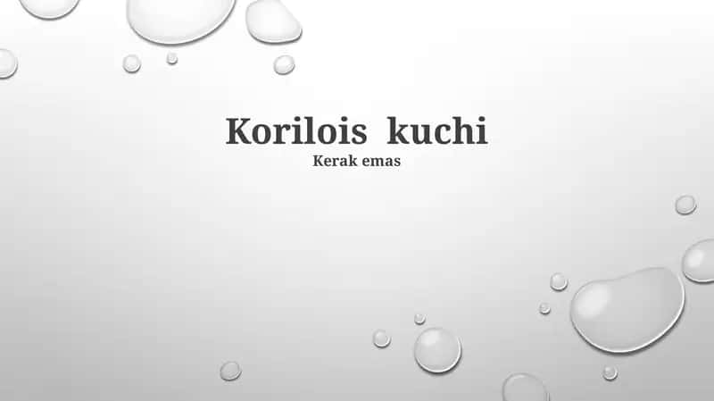 Korilois iti 1