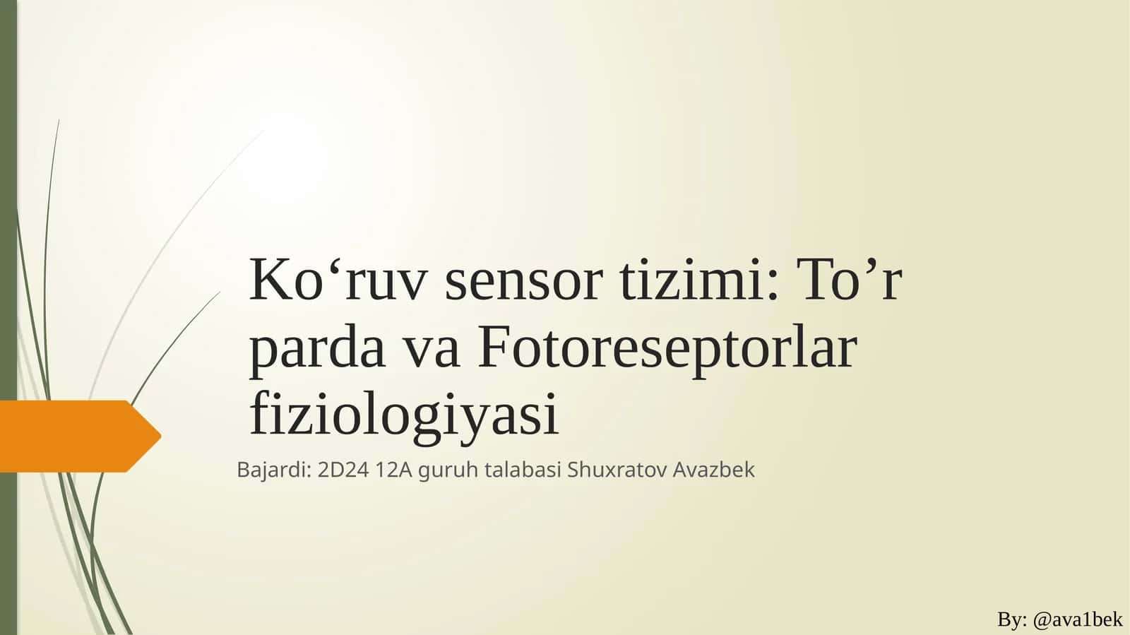 Ko‘ruvsensortizimi:To’r parda va Fotoreseptorlar fiziologiyasi 1