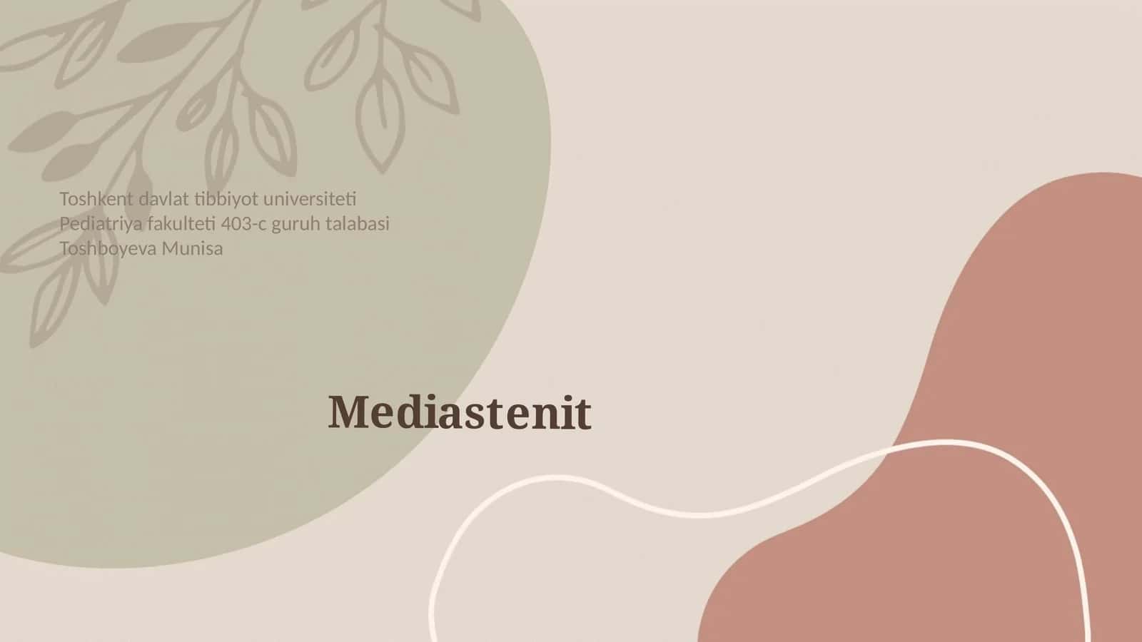 Mediastenit 1