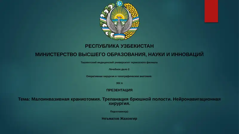Лечебное дело 2 1
