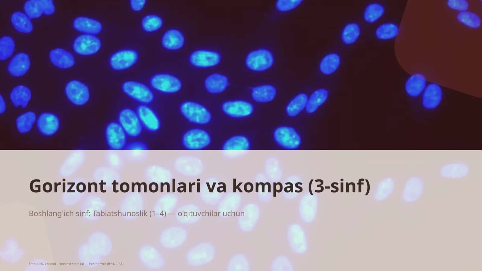 Gorizont tomonlari va kompas (3-sinf) 1