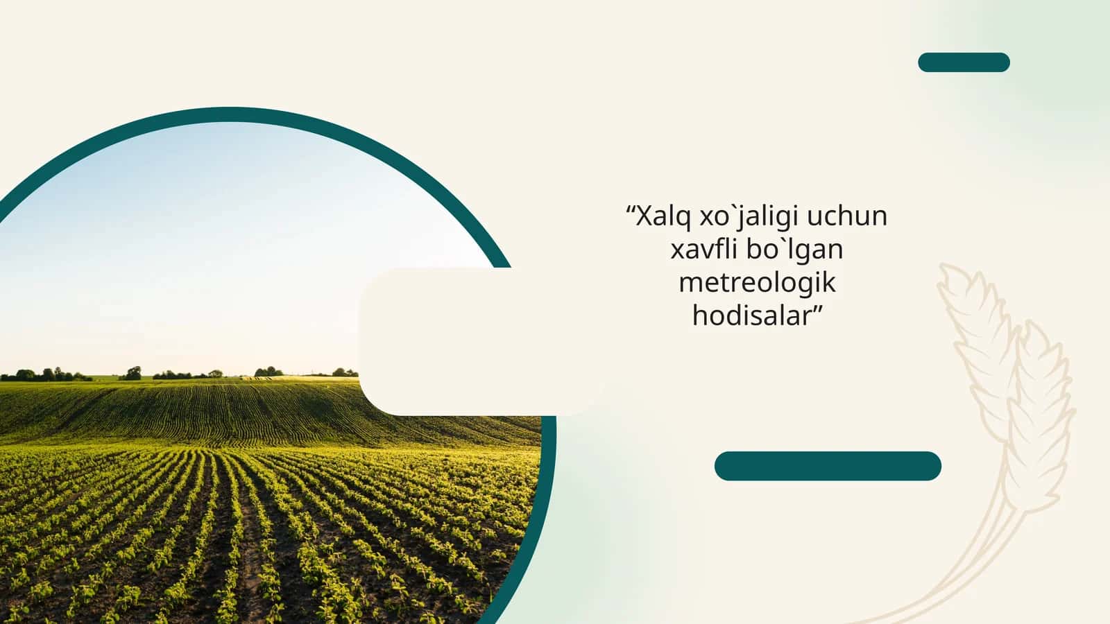 “Xalq xo`jaligi uchun xavfli bo`lgan metreologik hodisalar” 1