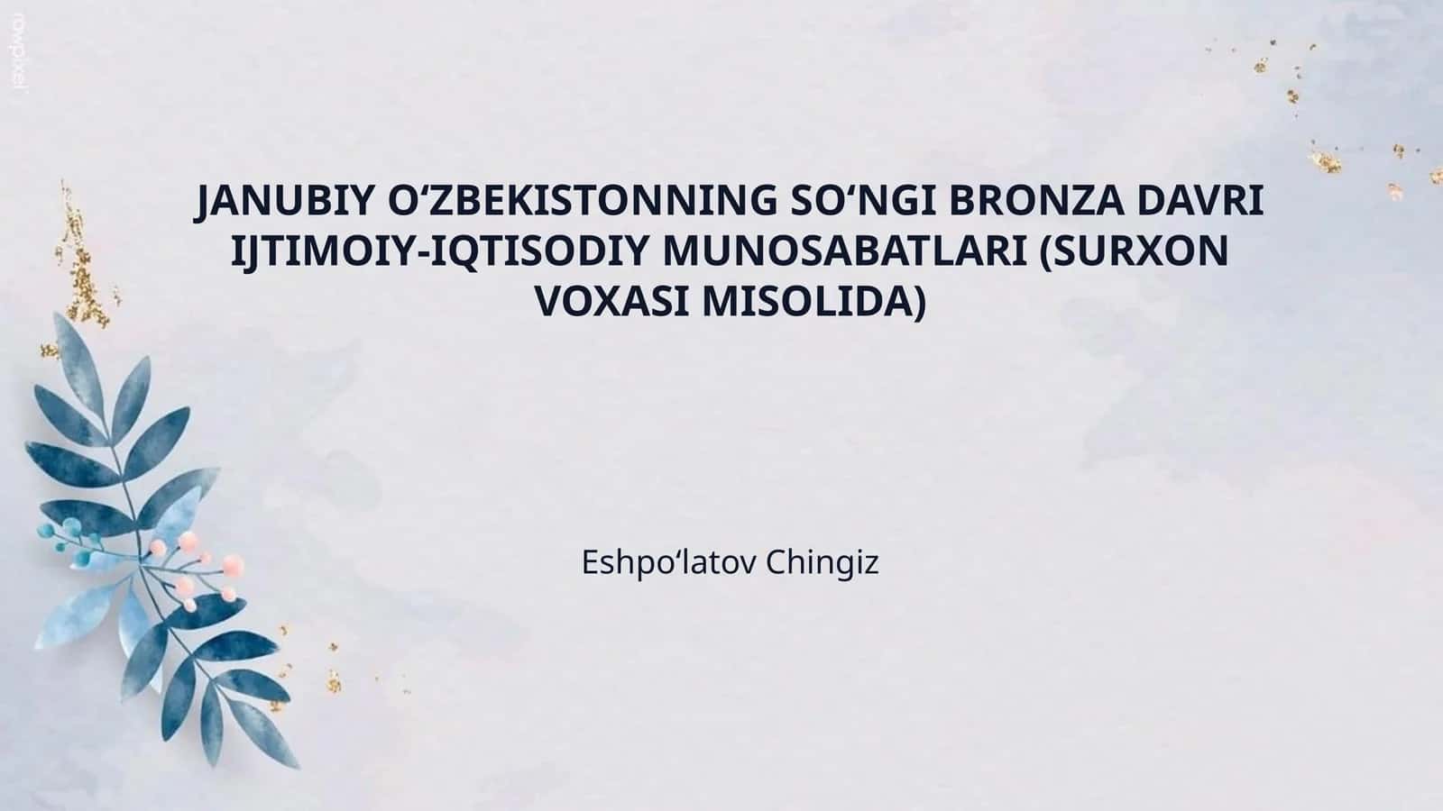 JANUBIY OʻZBEKISTONNING SOʻNGI BRONZA DAVRI IJTIMOIY-IQTISODIY MUNOSABATLARI (SURXON VOXASI MISOLIDA) 1