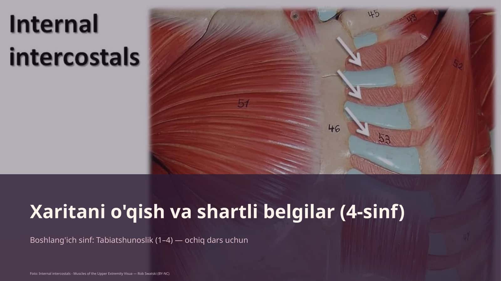 Xaritani o'qish va shartli belgilar (4-sinf) 1