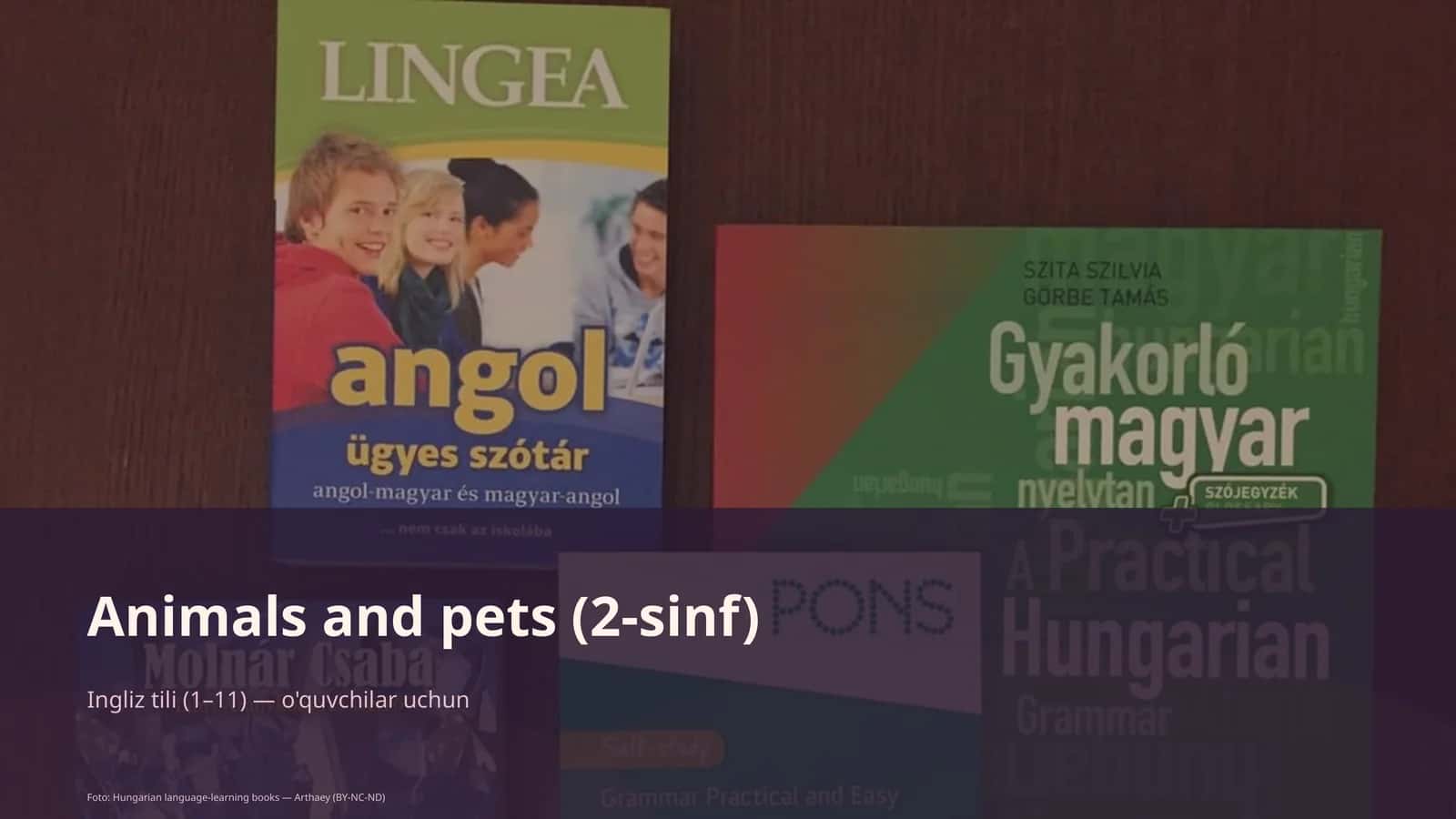 Animals va pets (2-sinf) 1
