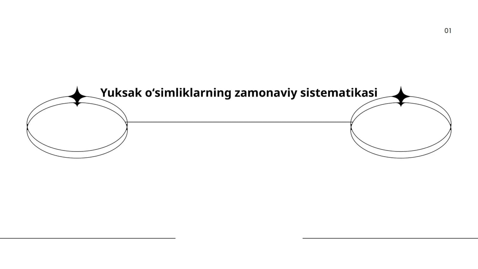 Yuksak oʻsimliklarning zamonaviy sistematikasi 1