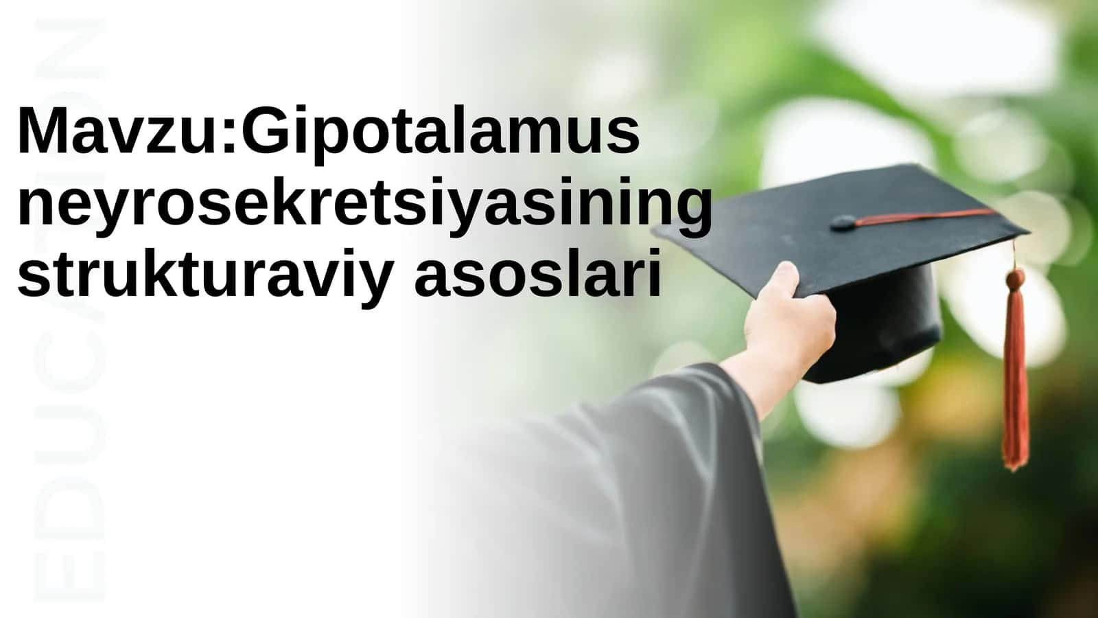Gipotalamus neyrosekretsiyasining strukturaviy asoslari 1