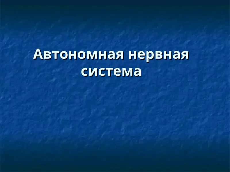 Верхний шейный узел 1