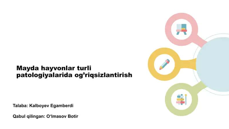 Mayda hayvonlar turli patologiyalarida og’riqsizlantirish 1