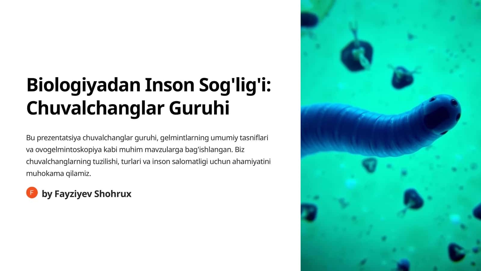 Biologiyadan Inson Sog'lig'i: Chuvalchanglar Guruhi 1