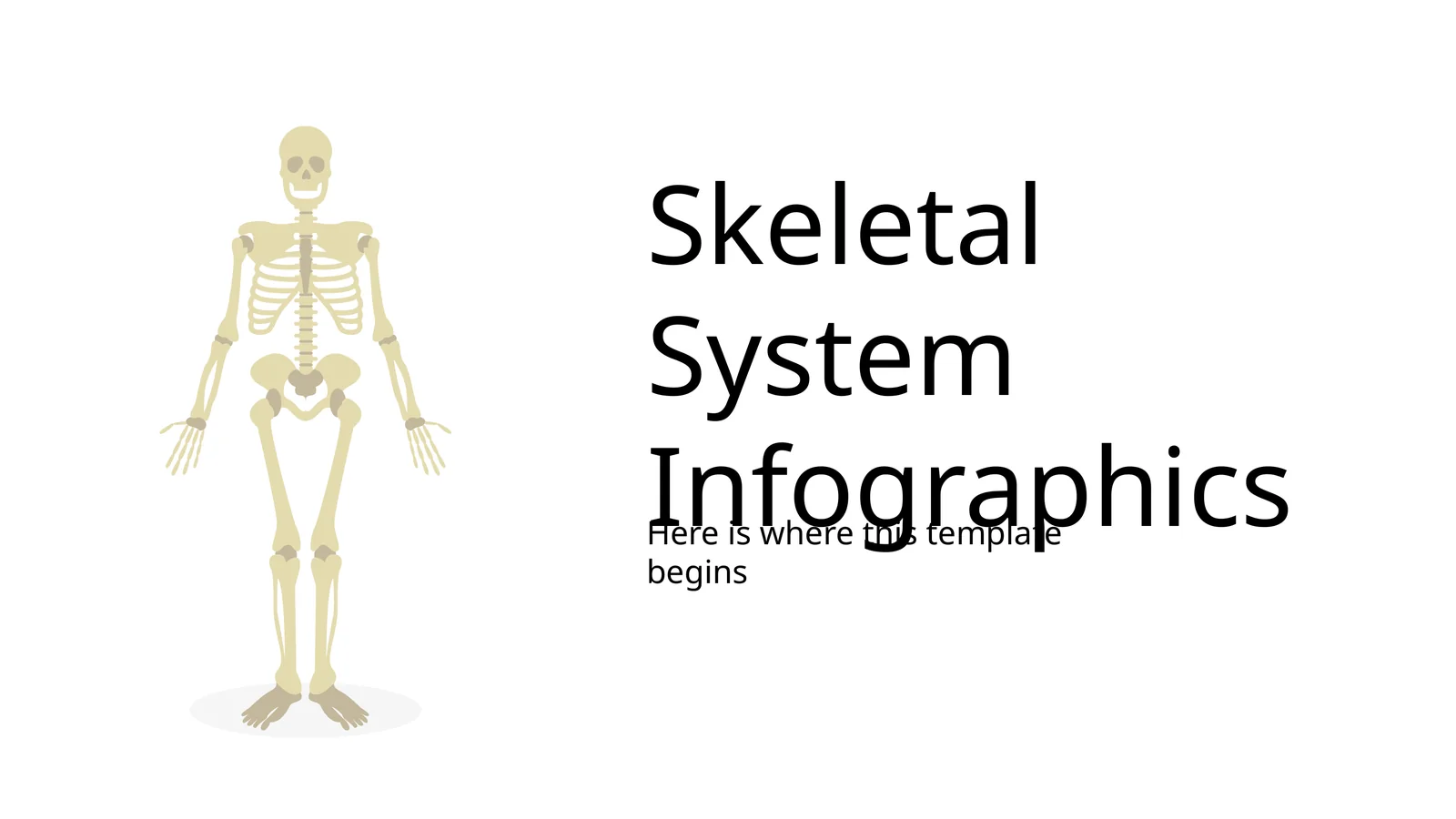 Skeletal System Infographics 1