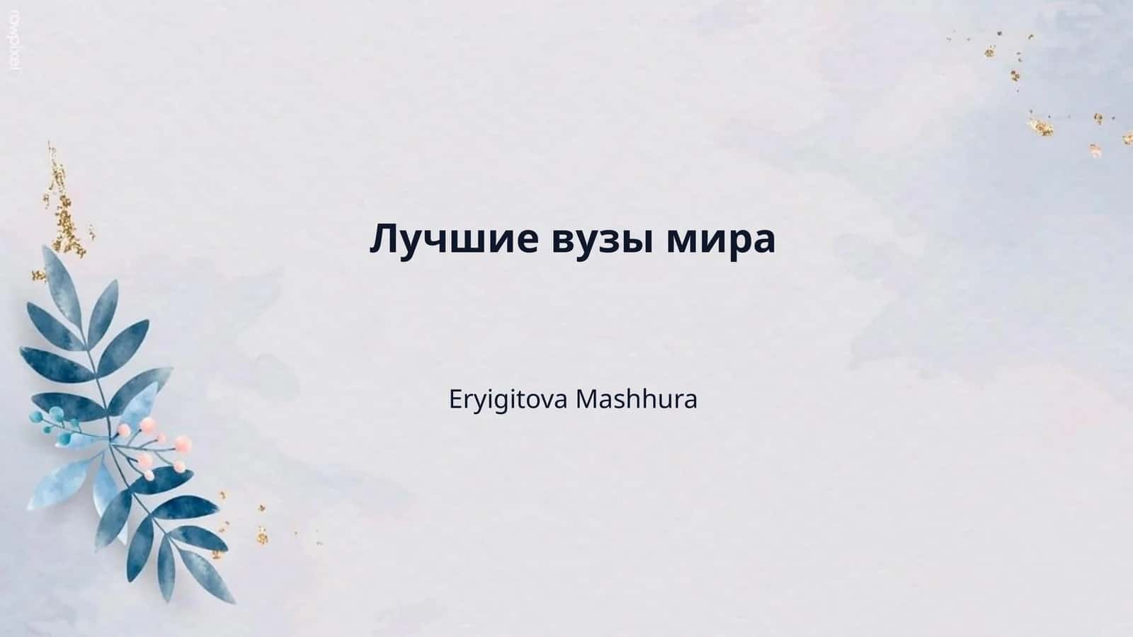 Лучшие вузы мира 1