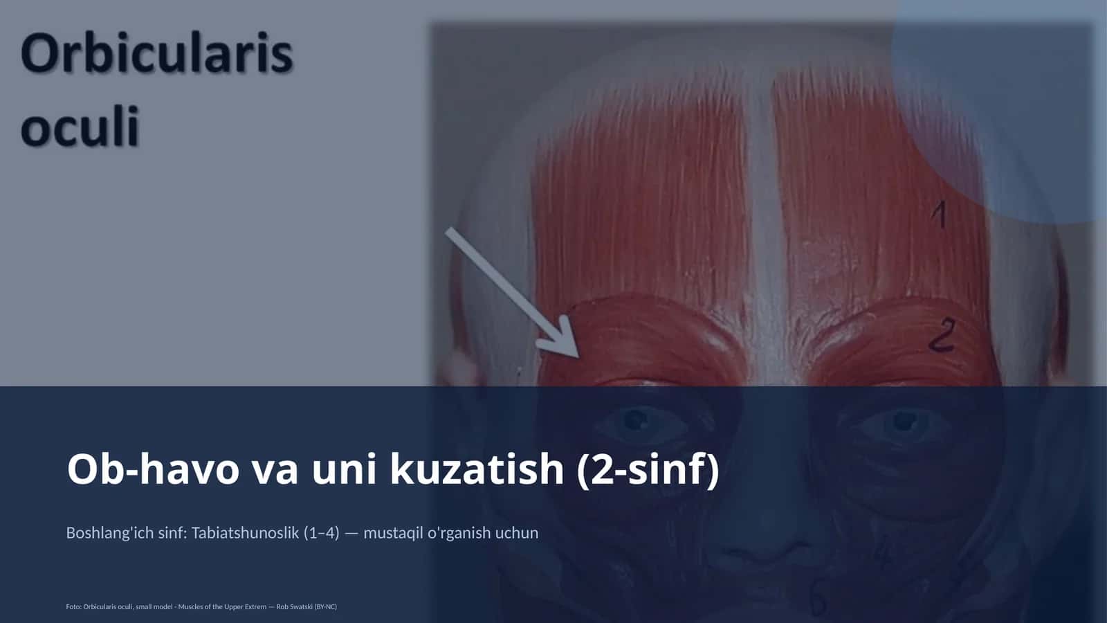 Ob-havo va uni kuzatish (2-sinf) 1