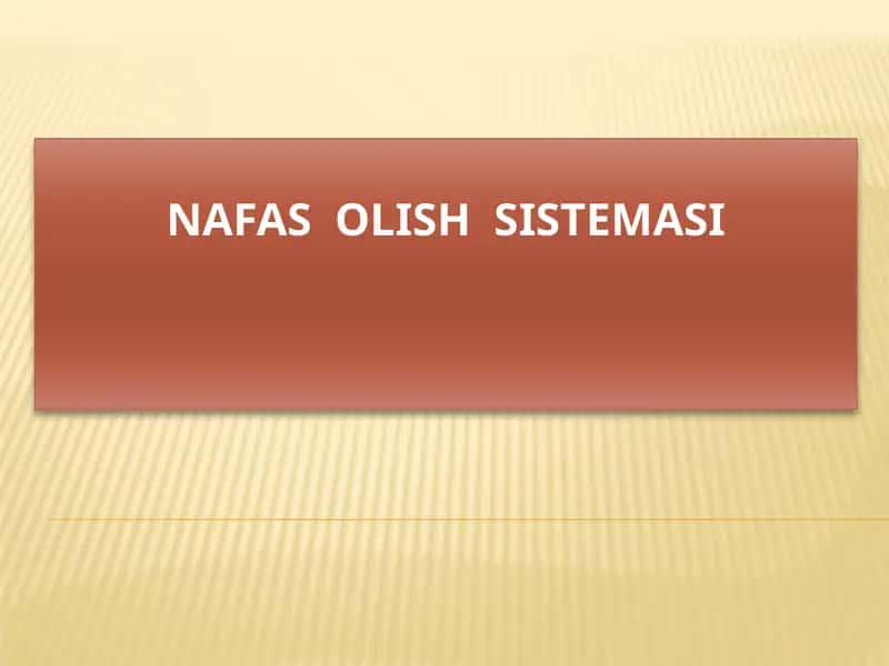 Nafasolishsistemasi 1