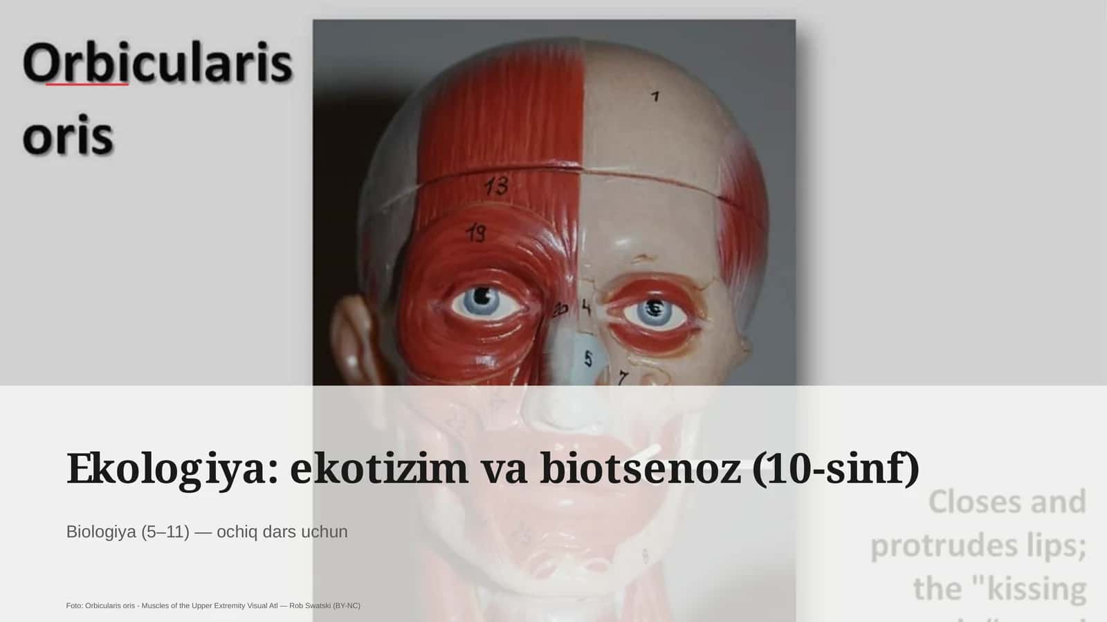 Ekologiya: ekotizim va biotsenoz (10-sinf) 1