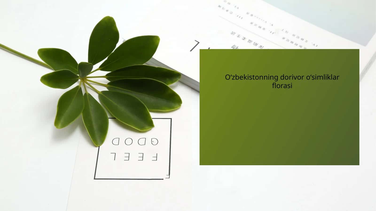 Oʻzbekistonning dorivor oʻsimliklar florasi 1
