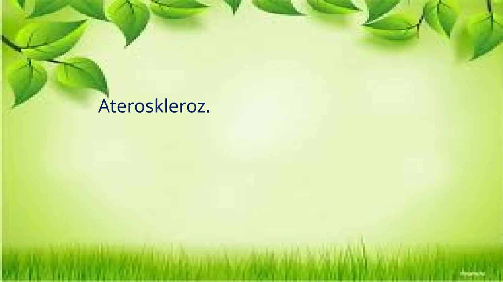 Ateroskleroz 1